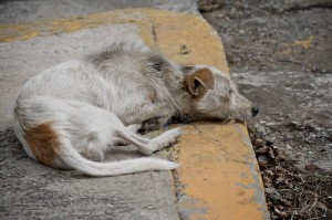 Hambre y frío